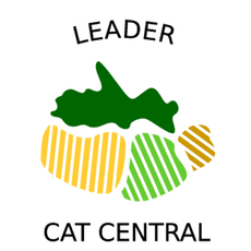 Consorci per al Desenvolupament de la Catalunya Central