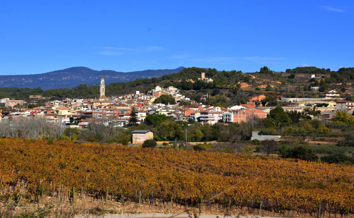 Vila-rodona