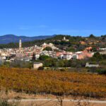 Vila-rodona